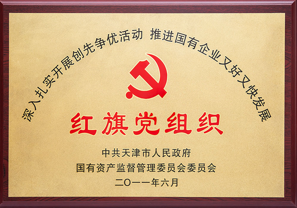 2011年红旗党组织
