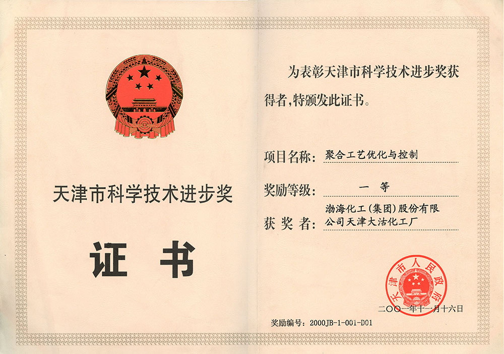 2001年天津市科学技术进步奖一等奖（聚合工艺优化与控制）